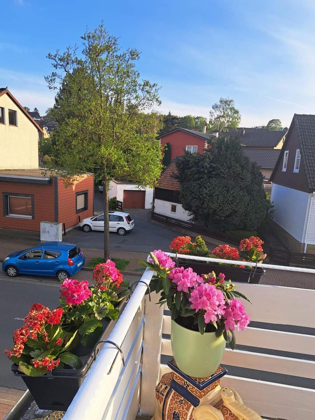 Fewo Im Harz Bad Harzburg Eksteriør billede